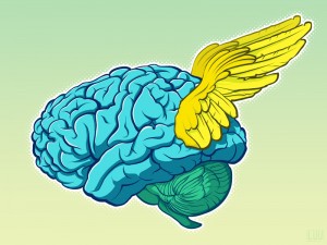 Geflügeltes Gehirn