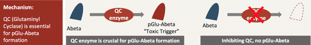 Hemmstoffe der Glutaminyl-Cyclase (QC) verhindern die Entstehung toxischer pGlu-Abeta-Ablagerungen im Gehirn.