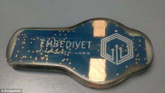 Der von Tim Cannon entwickelte Sensor EmbediVet.