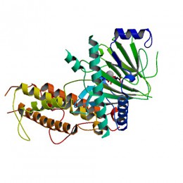 3D Struktur des FTO-Proteins