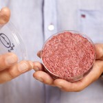 Mark Post präsentiert den ersten Burger aus der Zellkultur.