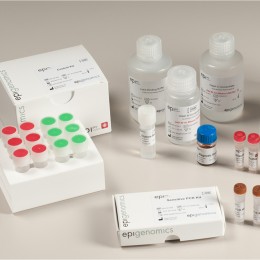 Der Epi proColon Testkit zum Nachweis von Darmkrebs im Blut.